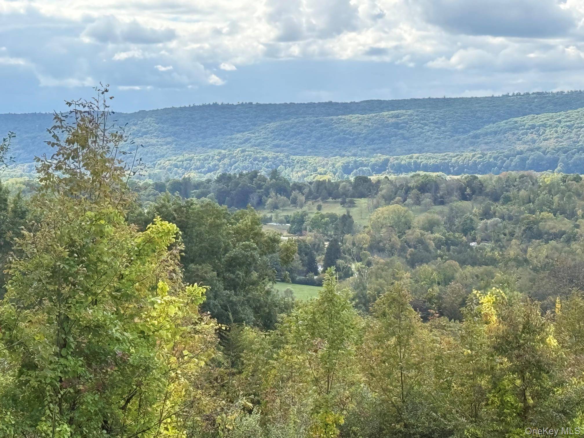 Lot # 11 Westerly Ridge DR, Amenia, NY 12501