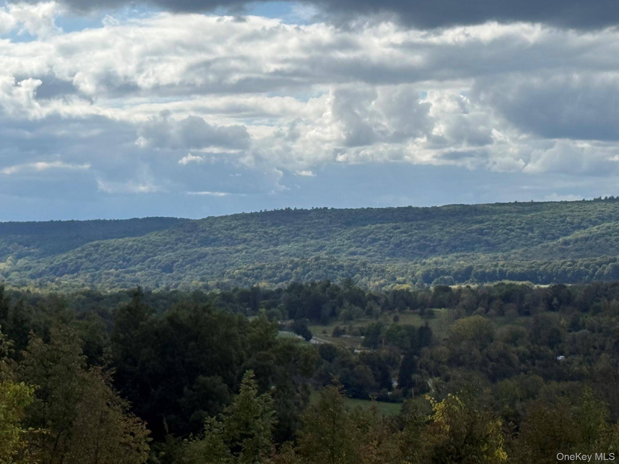 Lot # 11 Westerly Ridge DR, Amenia, NY 12501