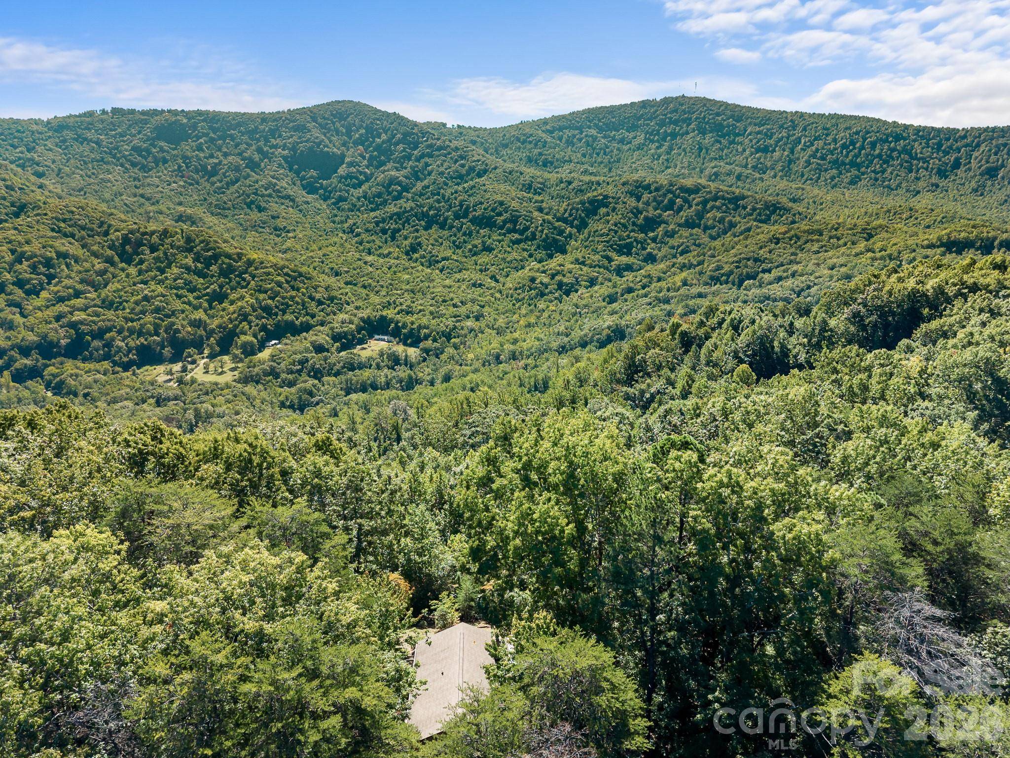 600 Piney Gate RD, Saluda, NC 28773