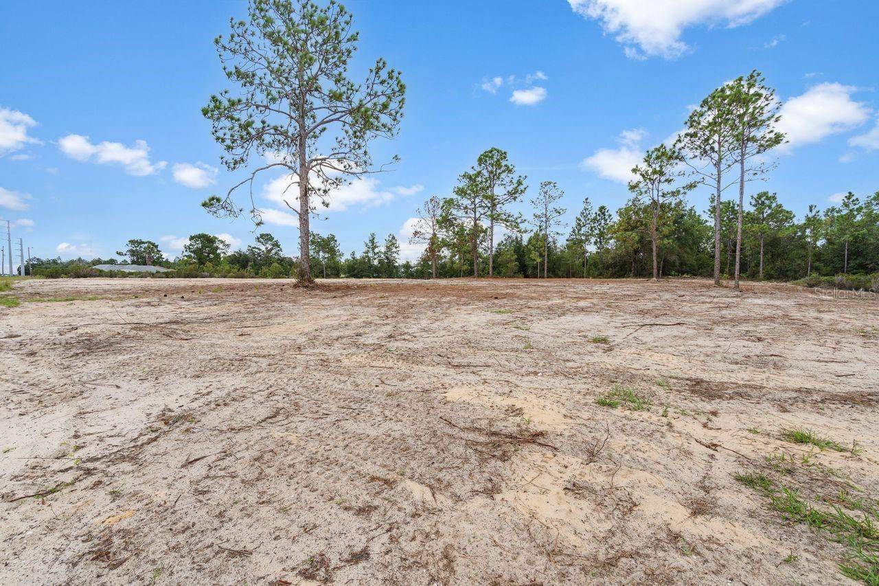 000 NE HWY 27 ALT, Williston, FL 32696