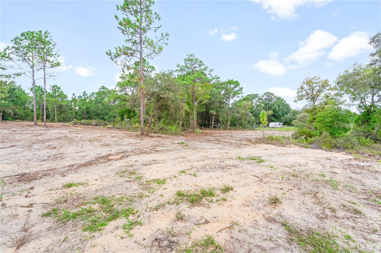 000 NE HWY 27 ALT, Williston, FL 32696
