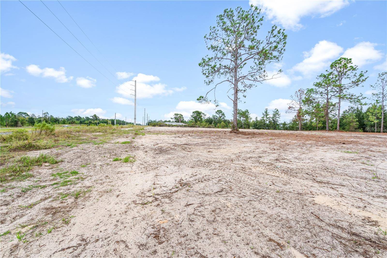 000 NE HWY 27 ALT, Williston, FL 32696
