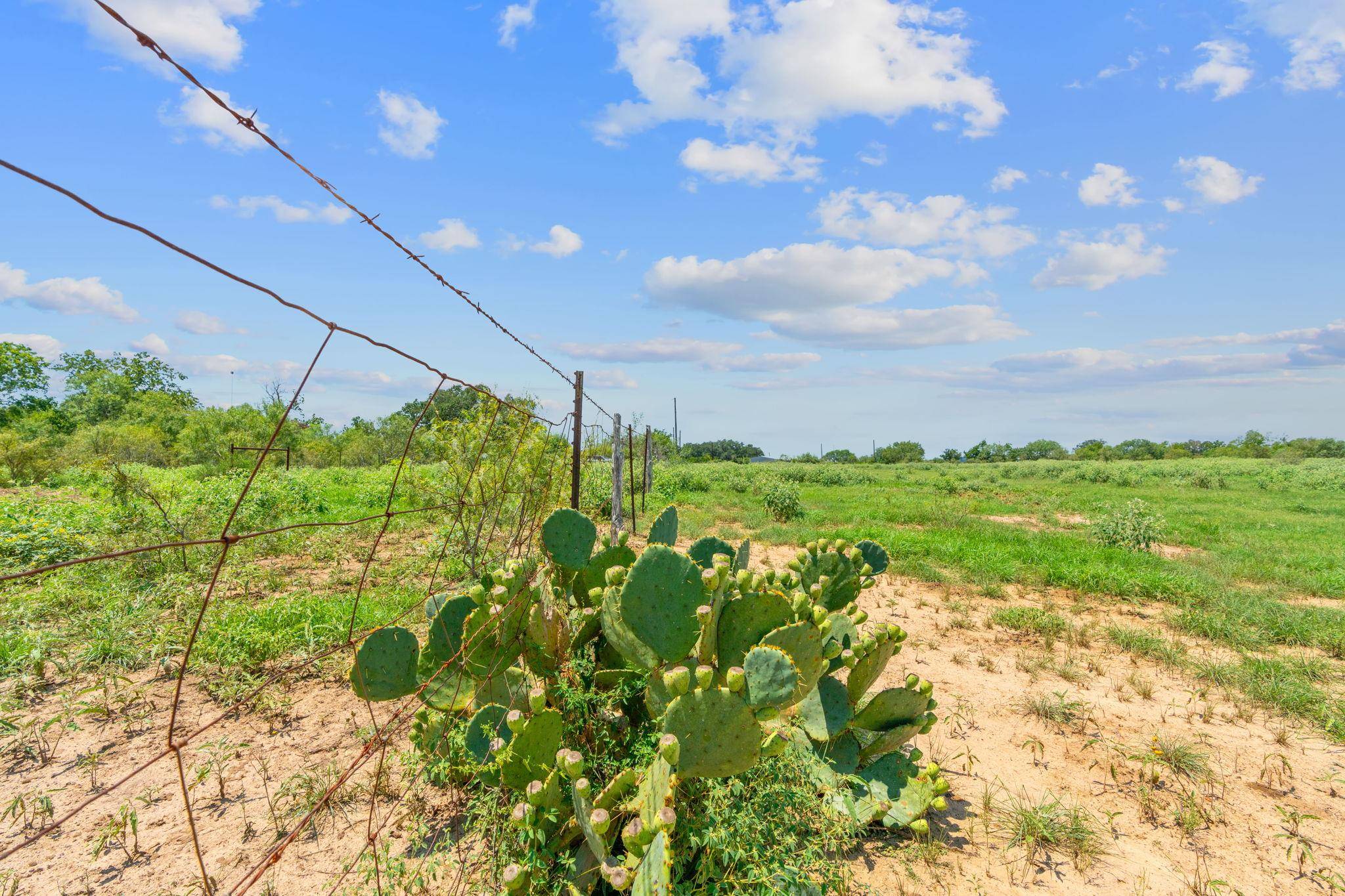 Lot 2 CR 280, Harwood, TX 78629