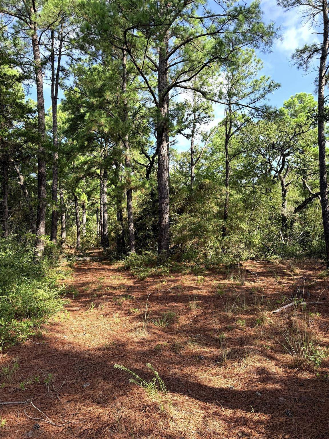 TBD Marlin ST, Mcdade, TX 78650