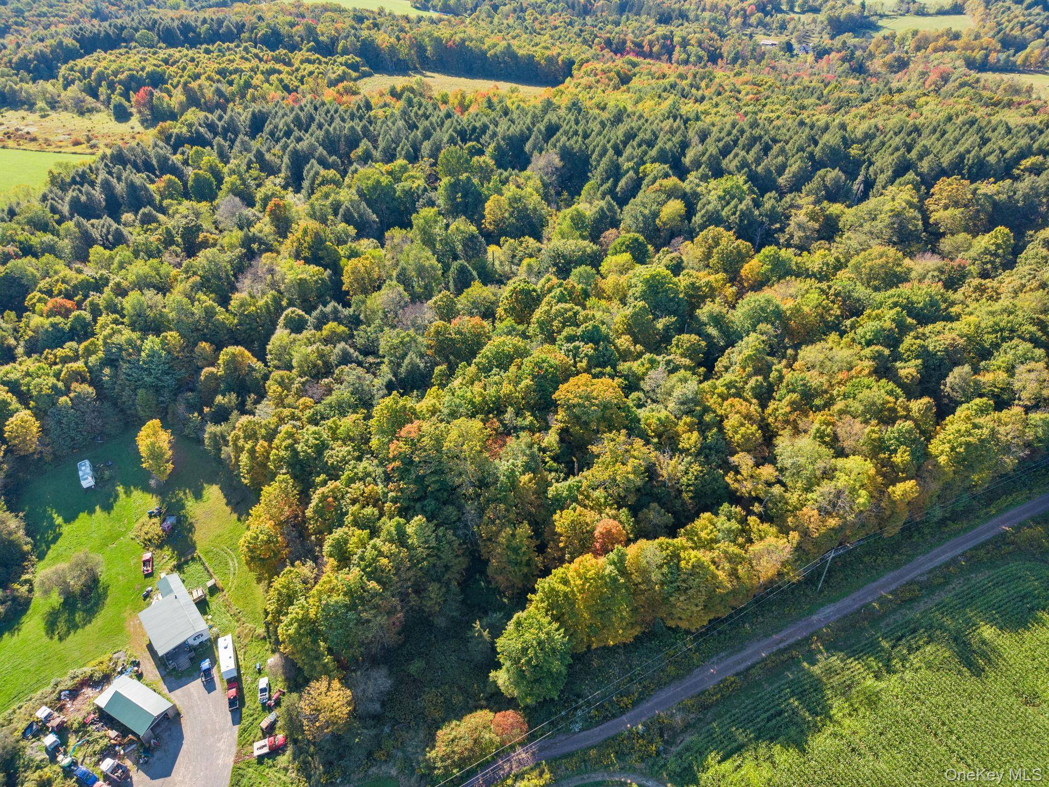 L1.3 N Harpersfield Rd, Jefferson NY, Call Listing Agent, NY 12093