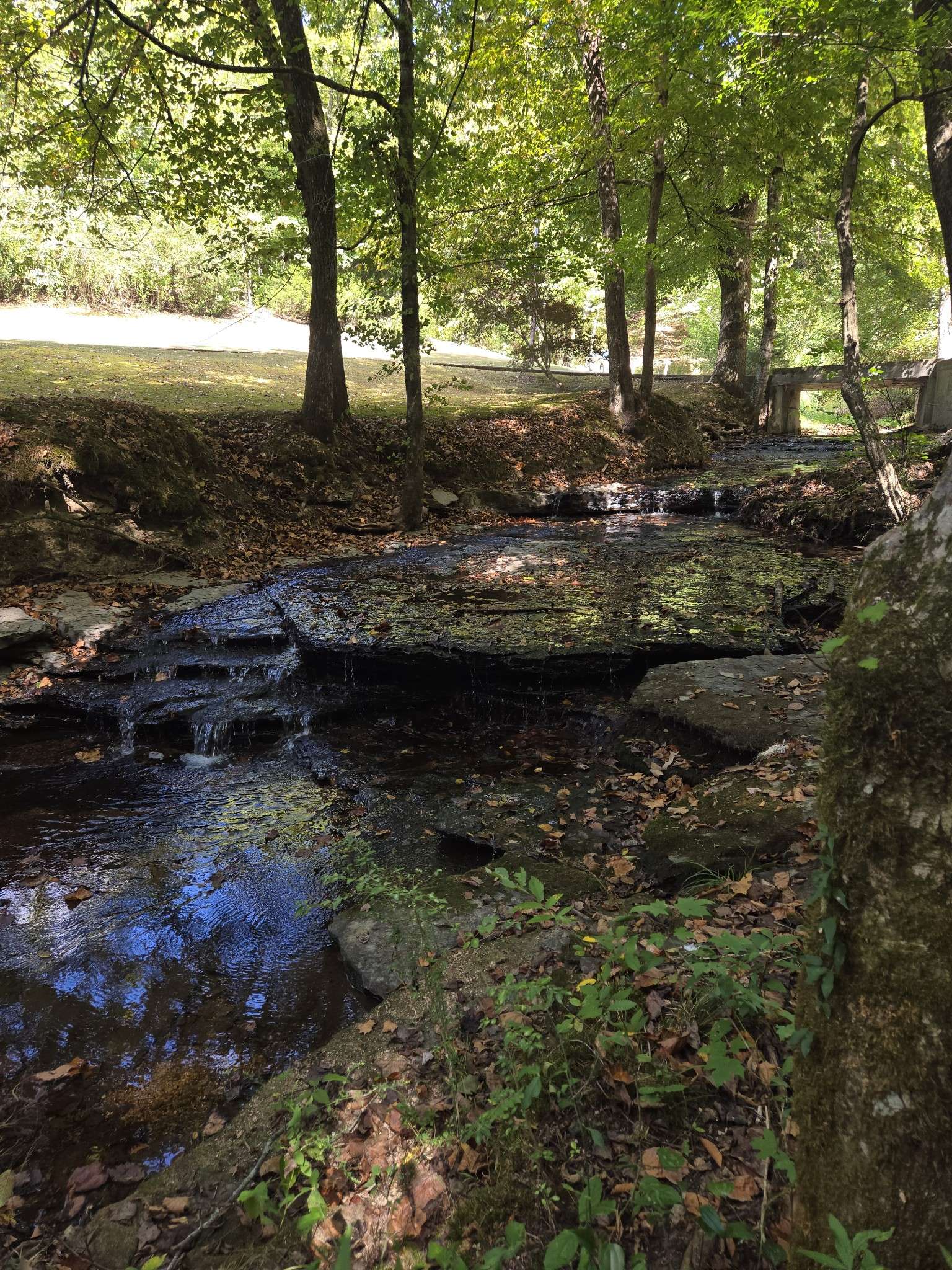 2130 Irwin Branch Rd, Waynesboro, TN 38485