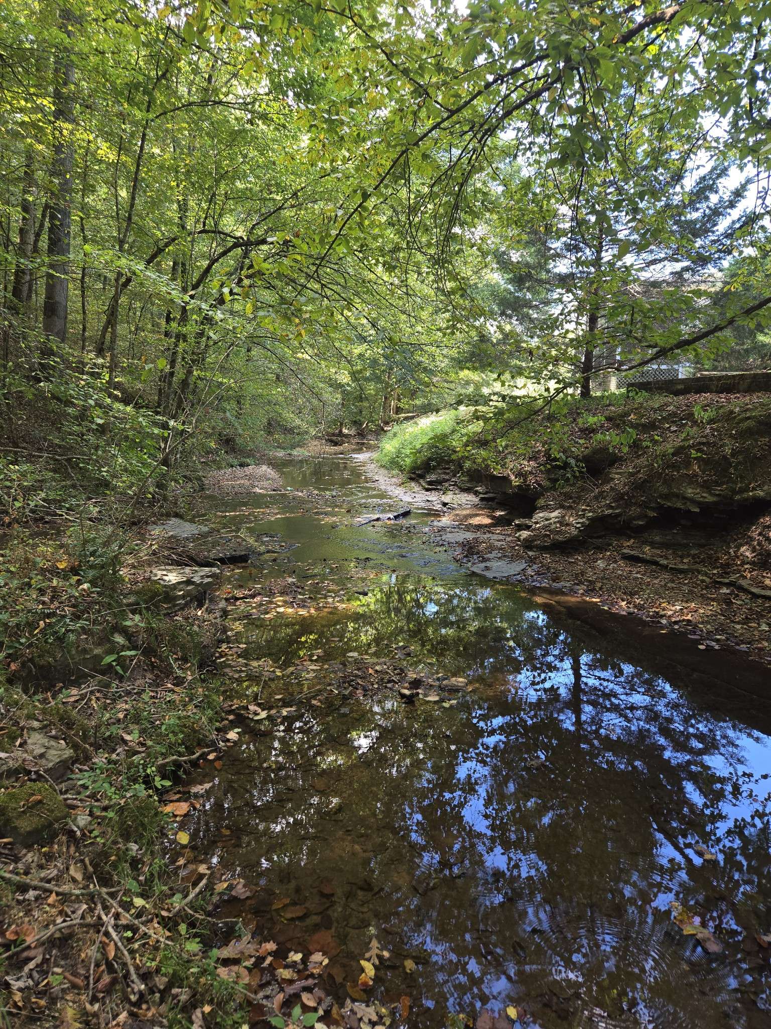 2130 Irwin Branch Rd, Waynesboro, TN 38485