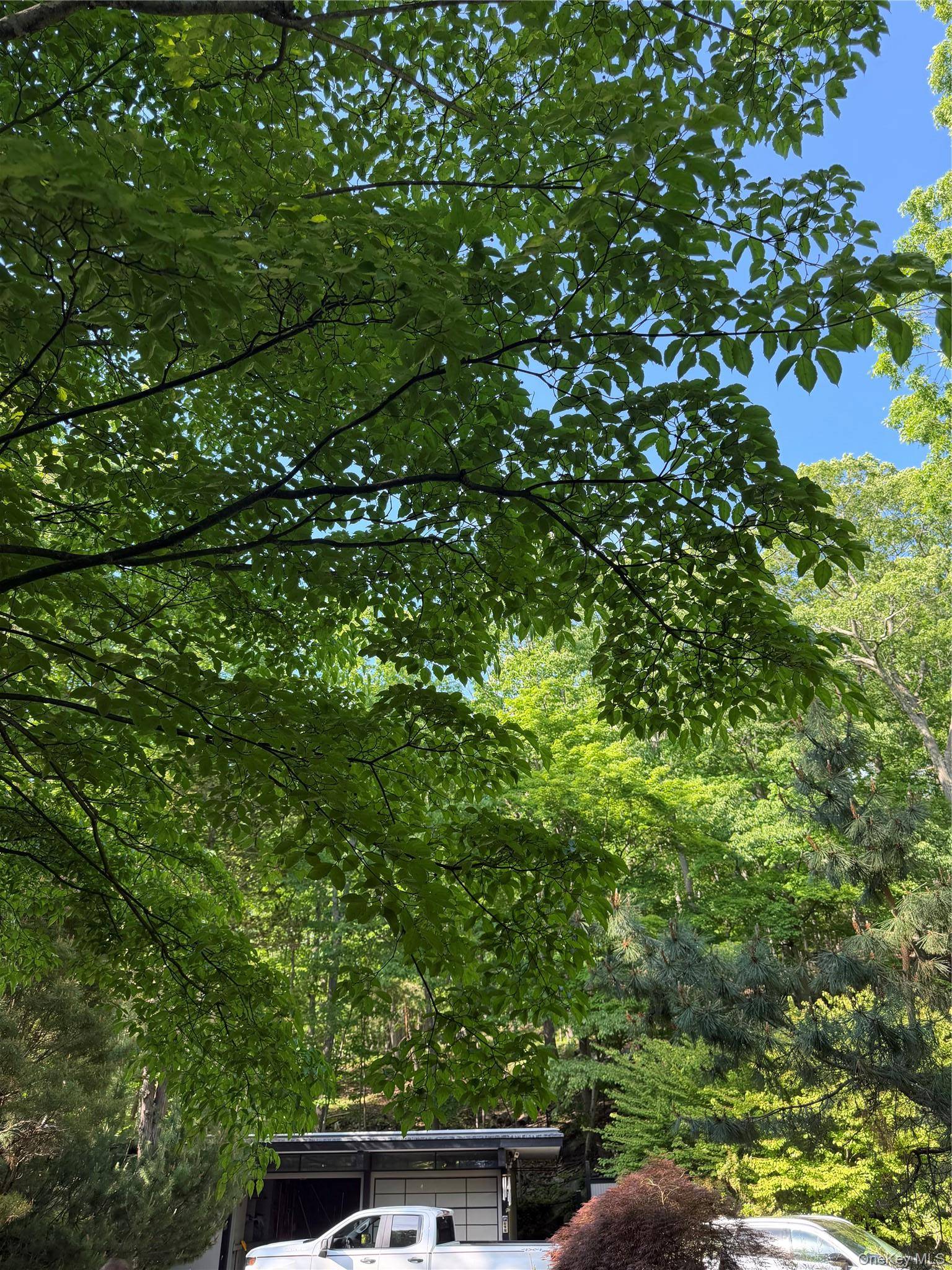 301 Roaring Brook RD, Chappaqua, NY 10514