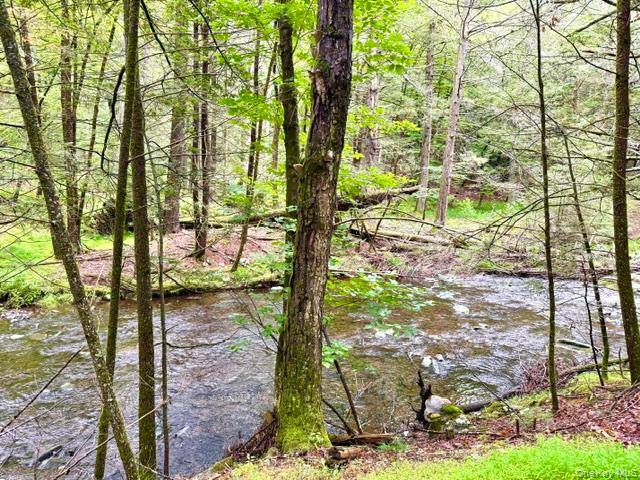 Lot 9 Black Forest RD, Glen Spey, NY 12737