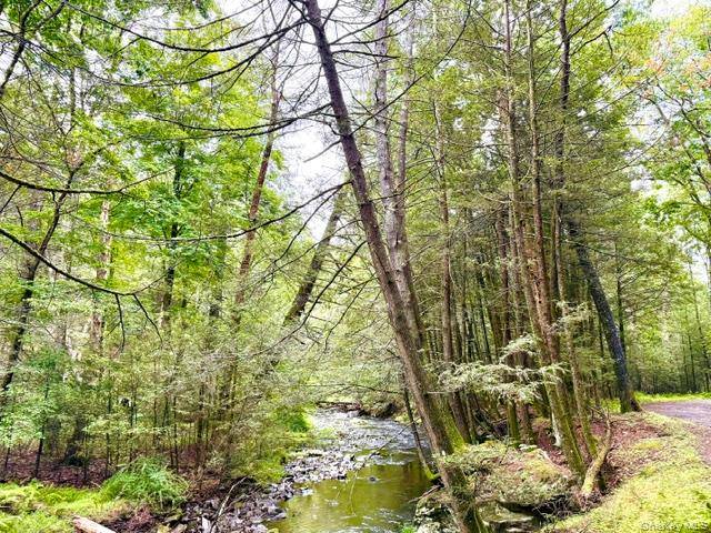 Lot 9 Black Forest RD, Glen Spey, NY 12737