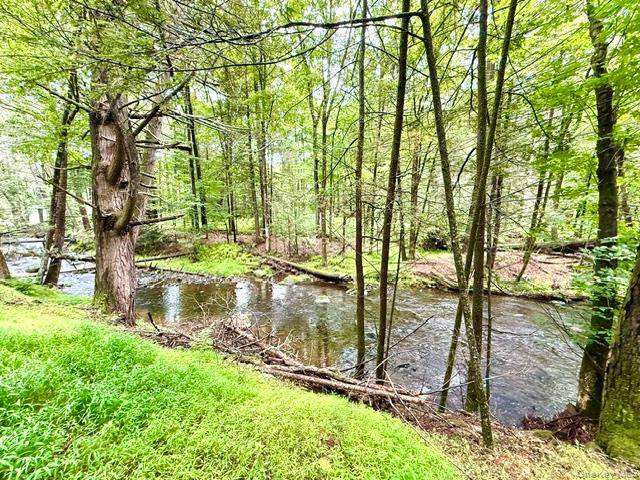 Lot 9 Black Forest RD, Glen Spey, NY 12737