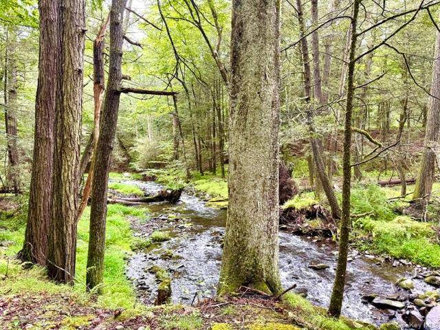 Lot 9 Black Forest RD, Glen Spey, NY 12737