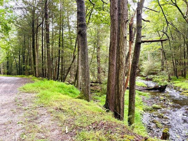 Lot 9 Black Forest RD, Glen Spey, NY 12737