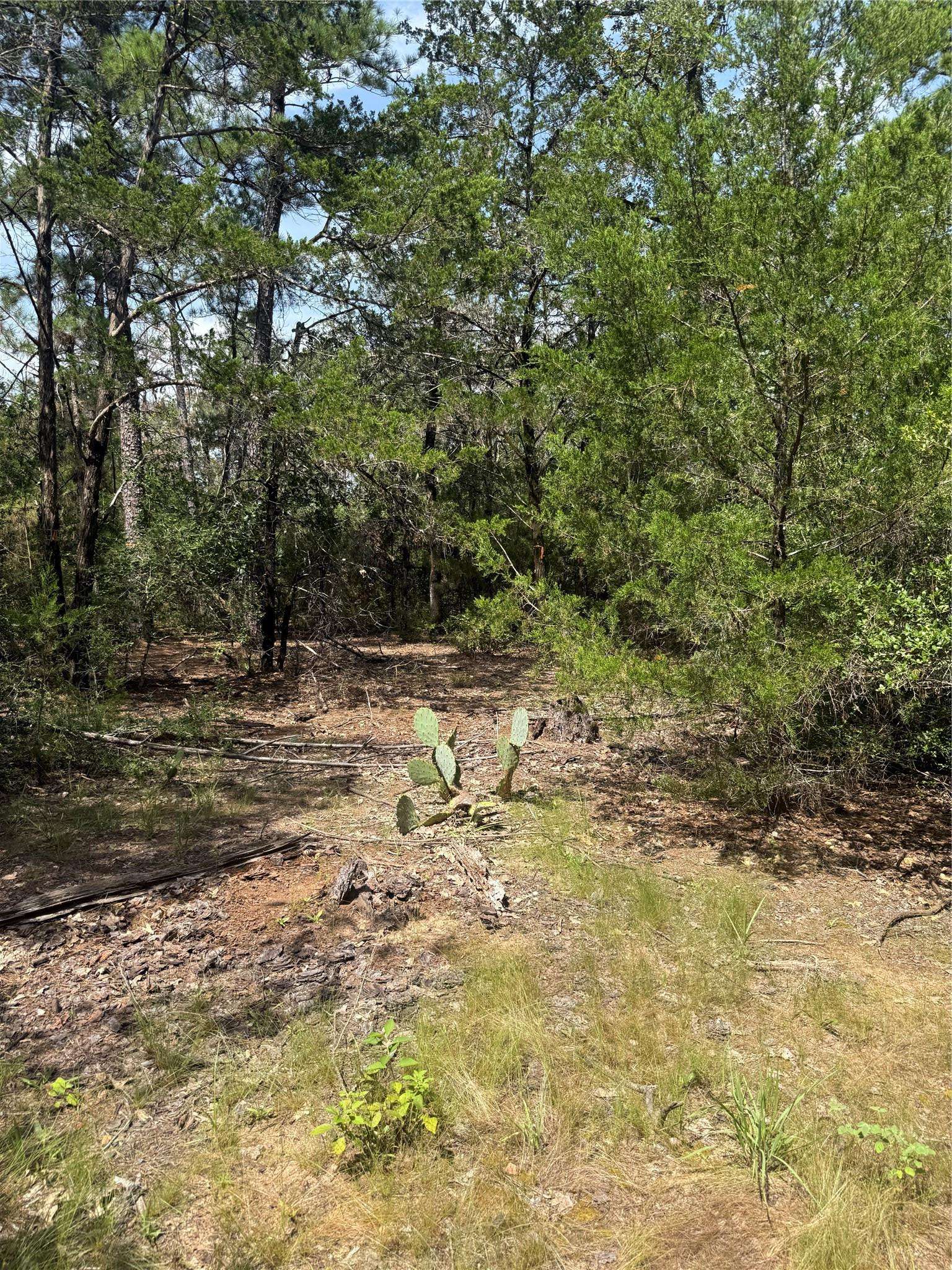 Lot 1252 TBA Hanauma DR, Bastrop, TX 78602
