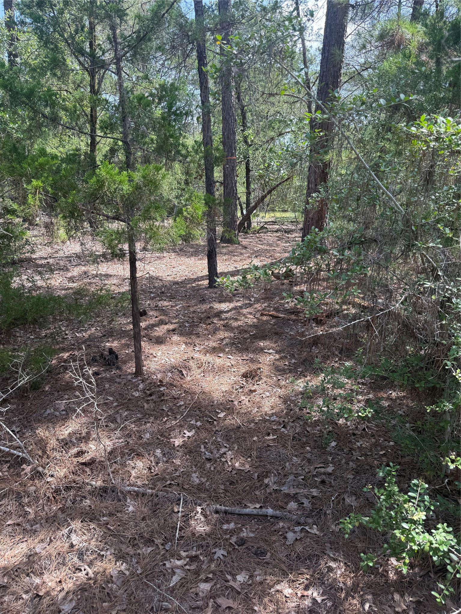 Lot 1252 TBA Hanauma DR, Bastrop, TX 78602