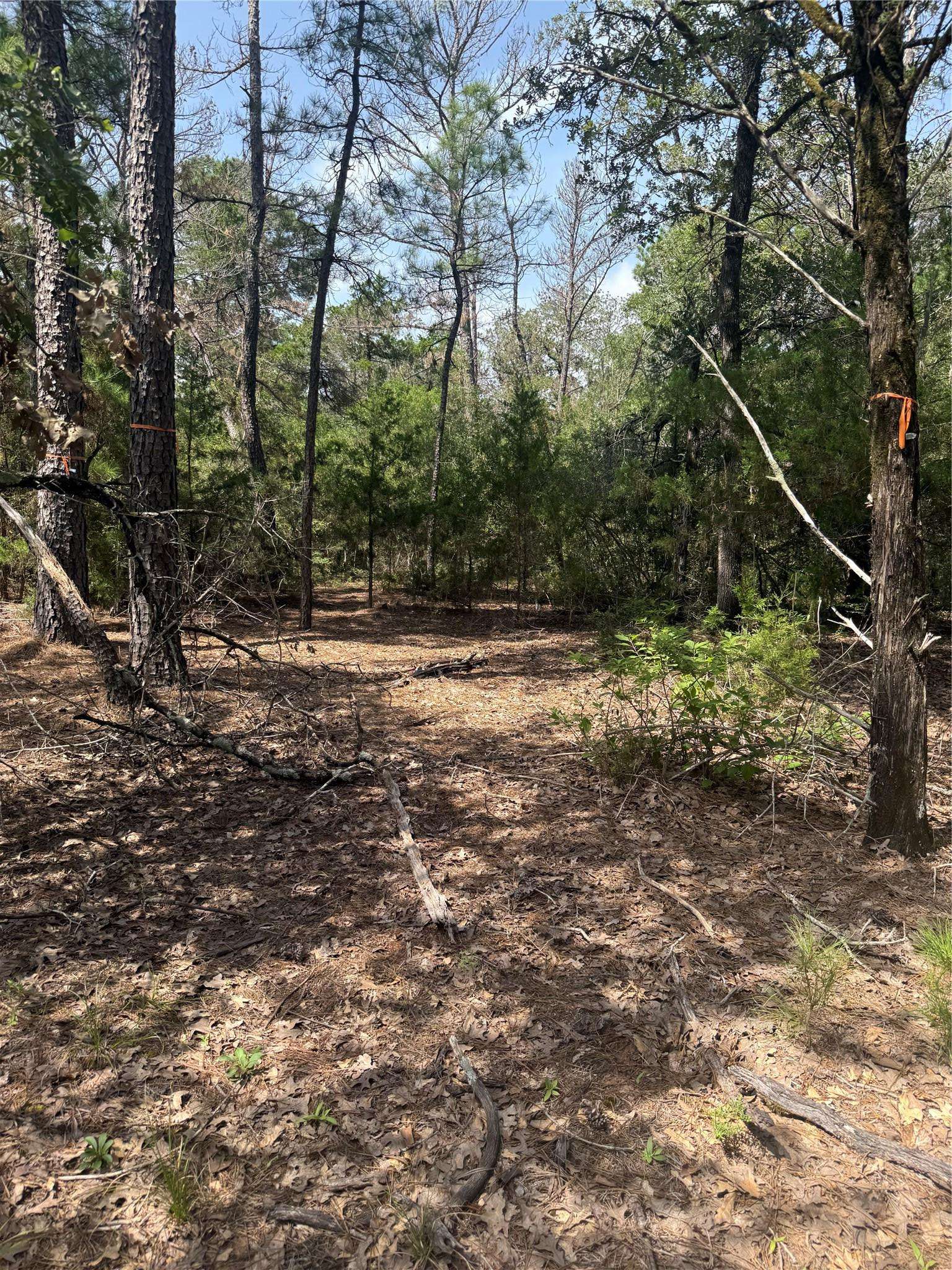 Lot 1252 TBA Hanauma DR, Bastrop, TX 78602