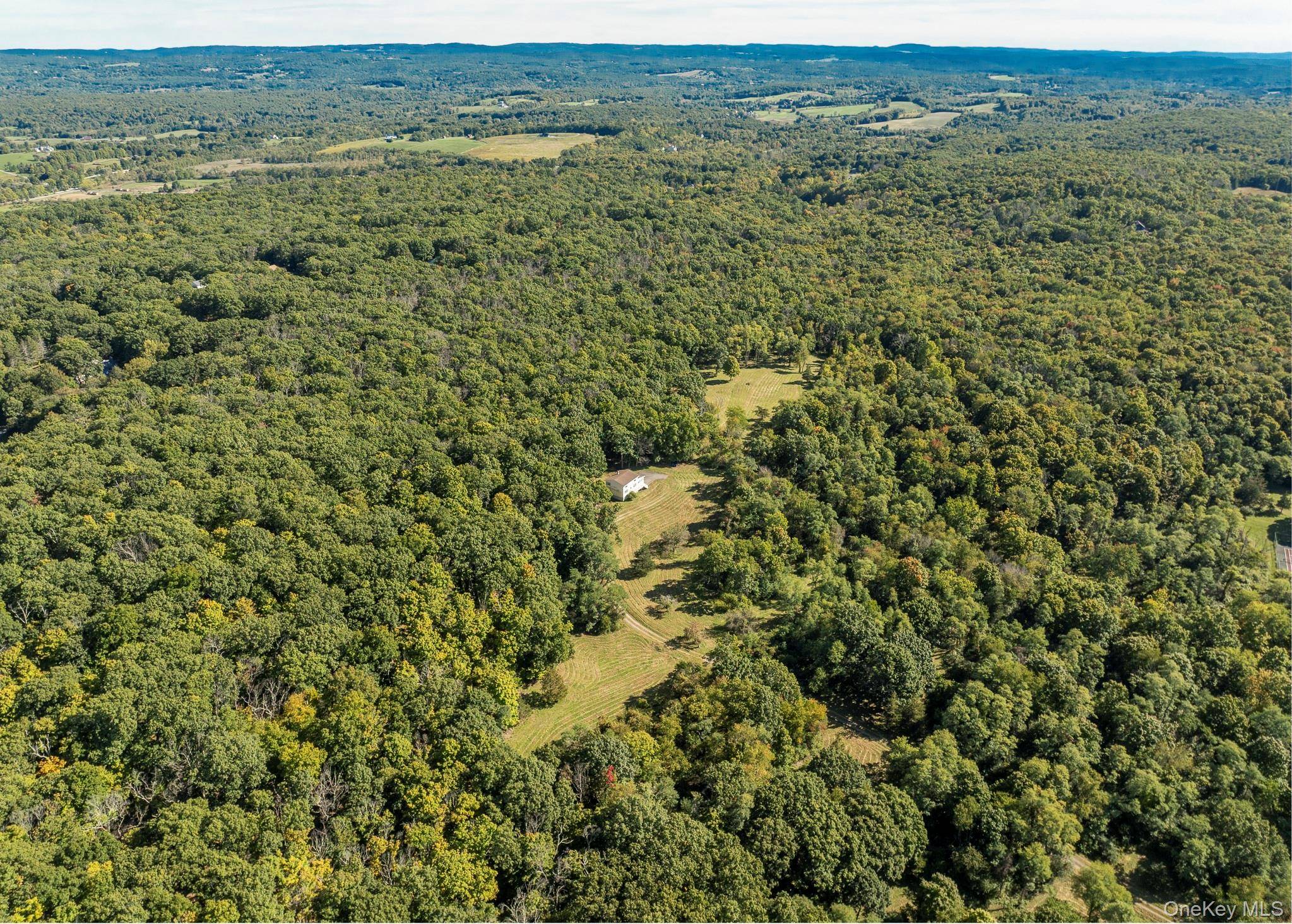 544 Willow Brook RD, Clinton Corners, NY 12514