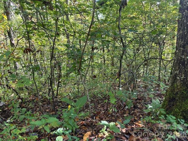 H16-H17 Shady Grove RD, Tuckasegee, NC 28783