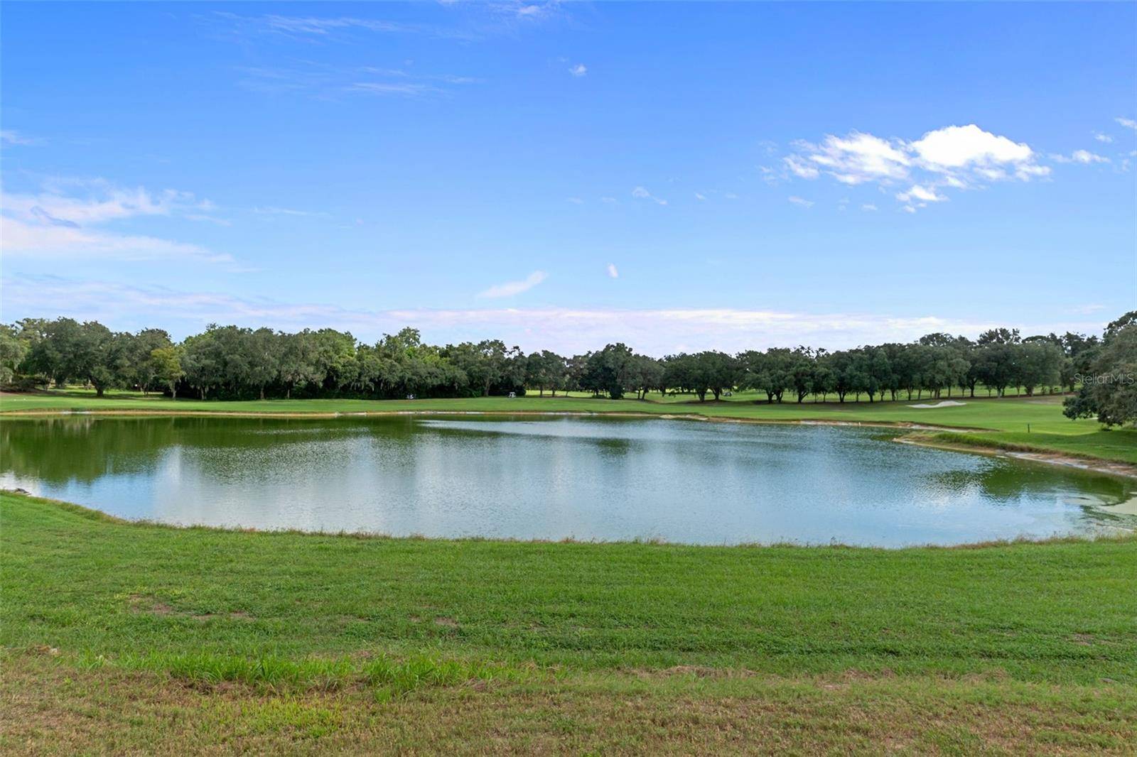3215 N PINELAKE VILLAGE PT, Lecanto, FL 34461