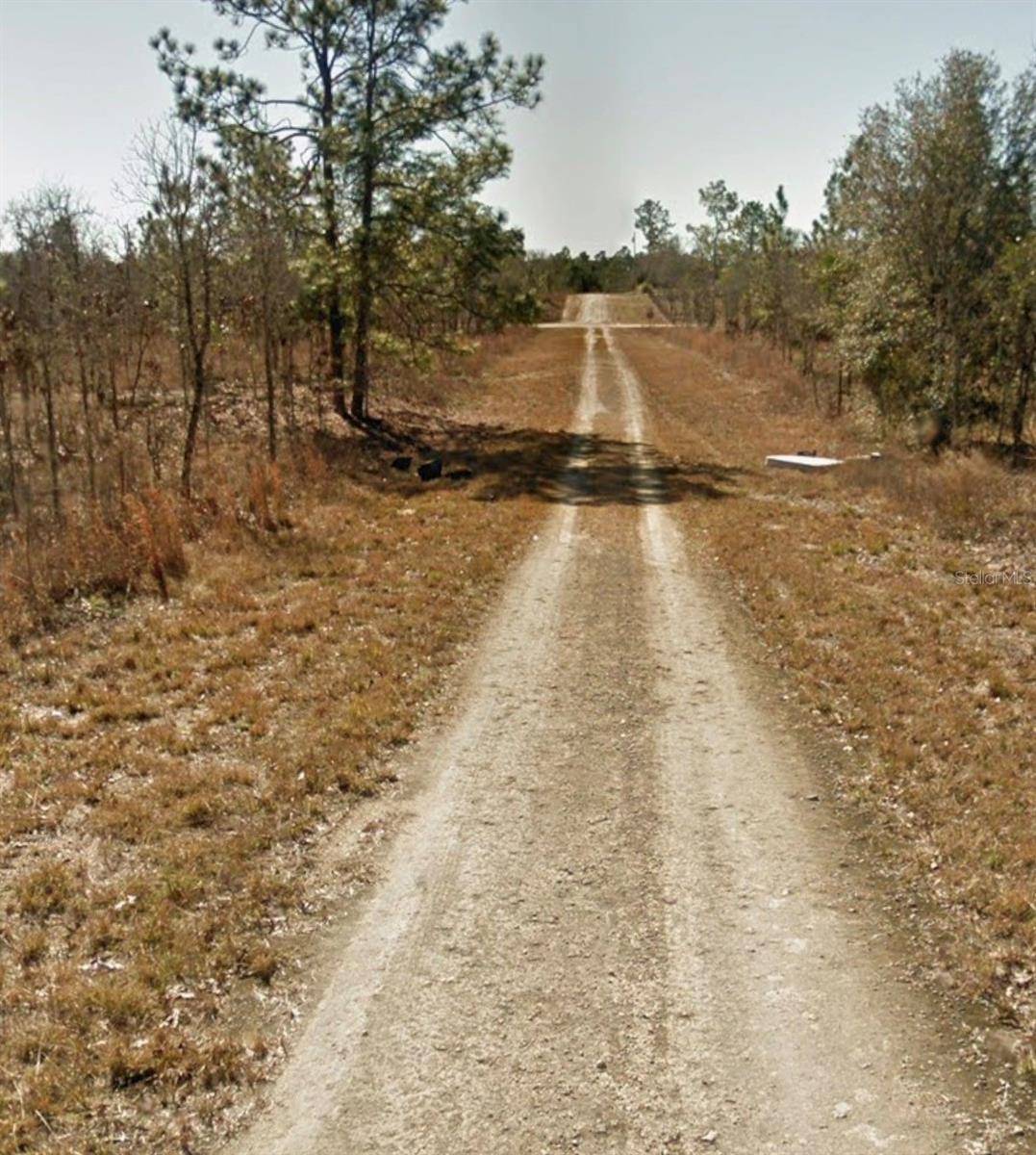 SE 23RD PL, Morriston, FL 32668