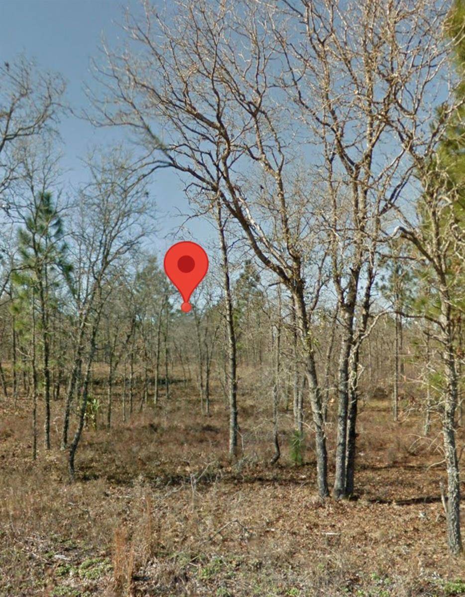 SE 23RD PL, Morriston, FL 32668