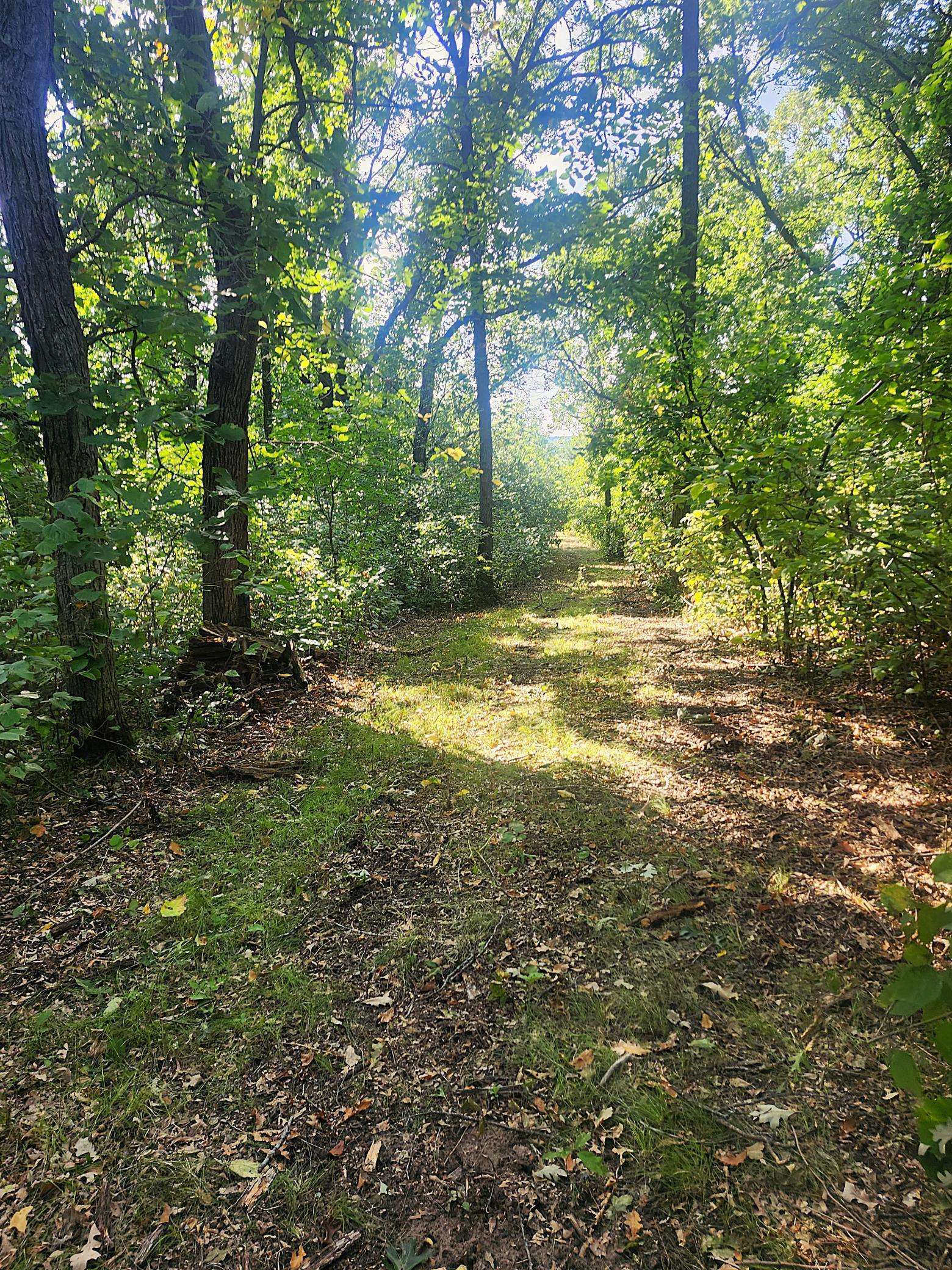 TBD 400th ST, Browerville, MN 56438