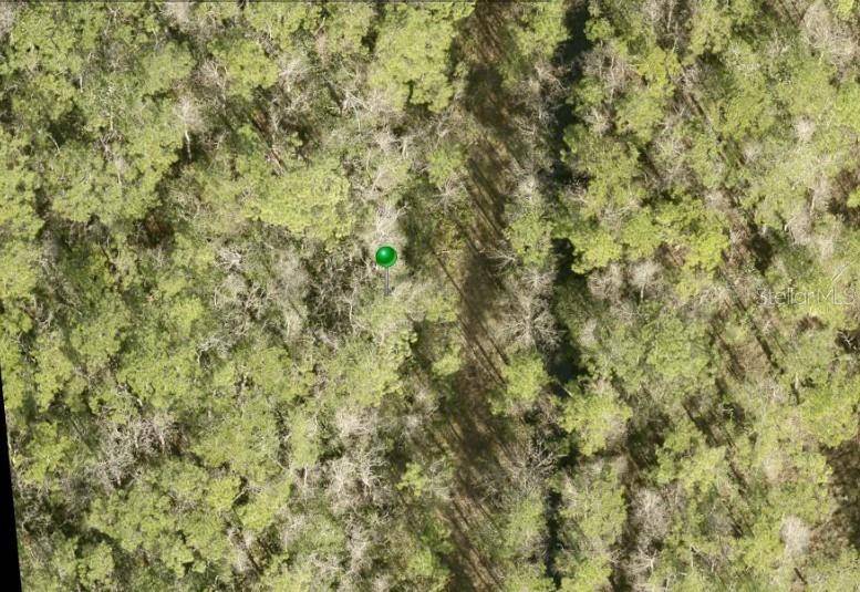 NO ST, Lake Helen, FL 32744