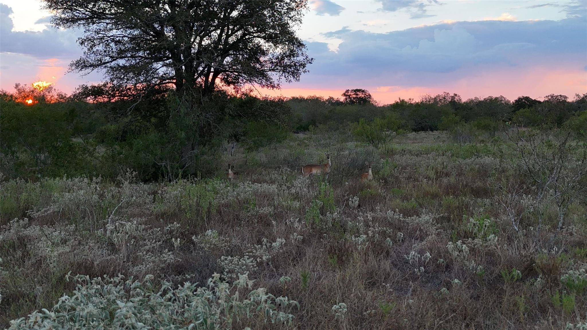 859 Lakey RD, Nixon, TX 78140