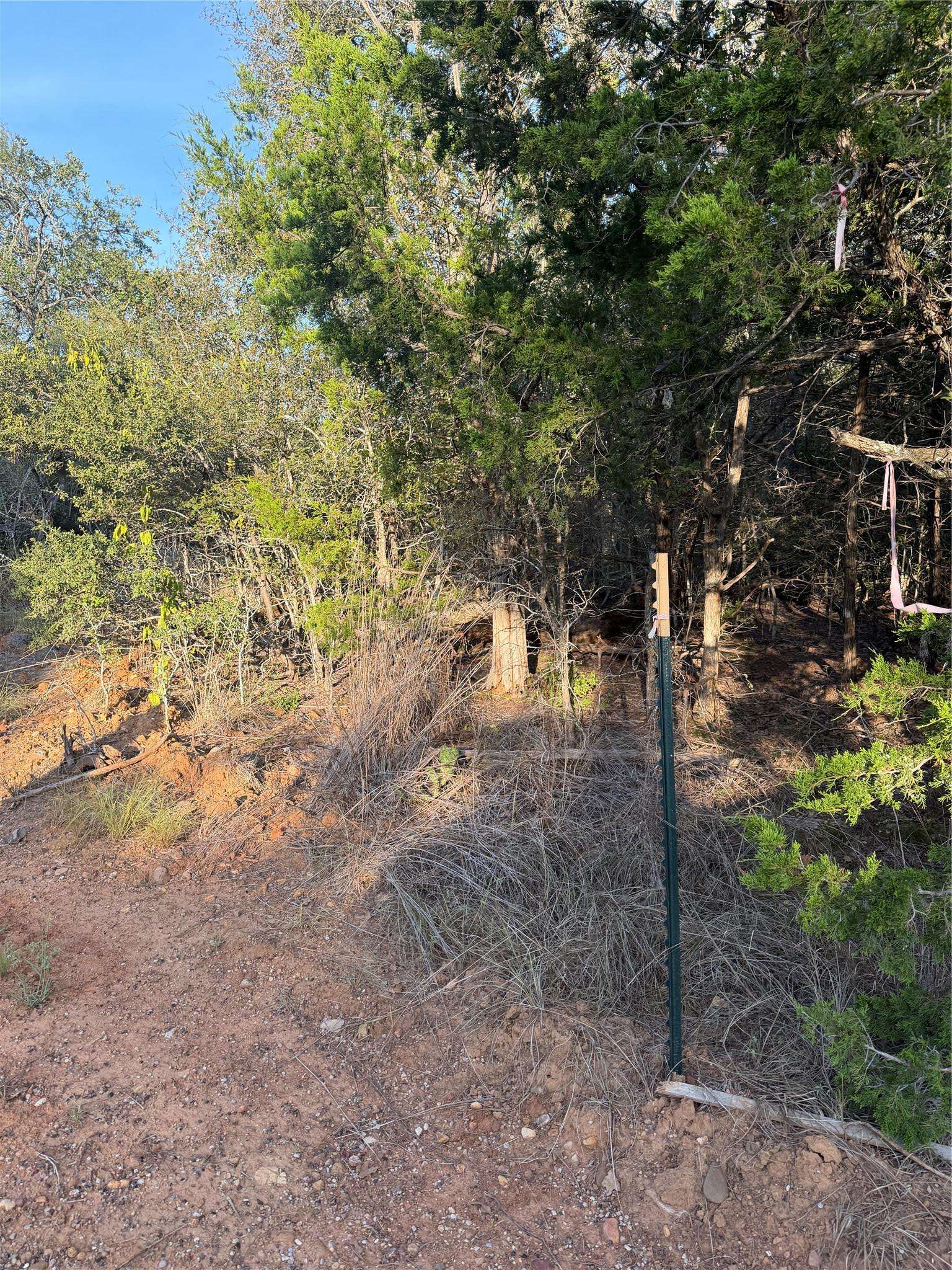 160 Helemano DR, Bastrop, TX 78602