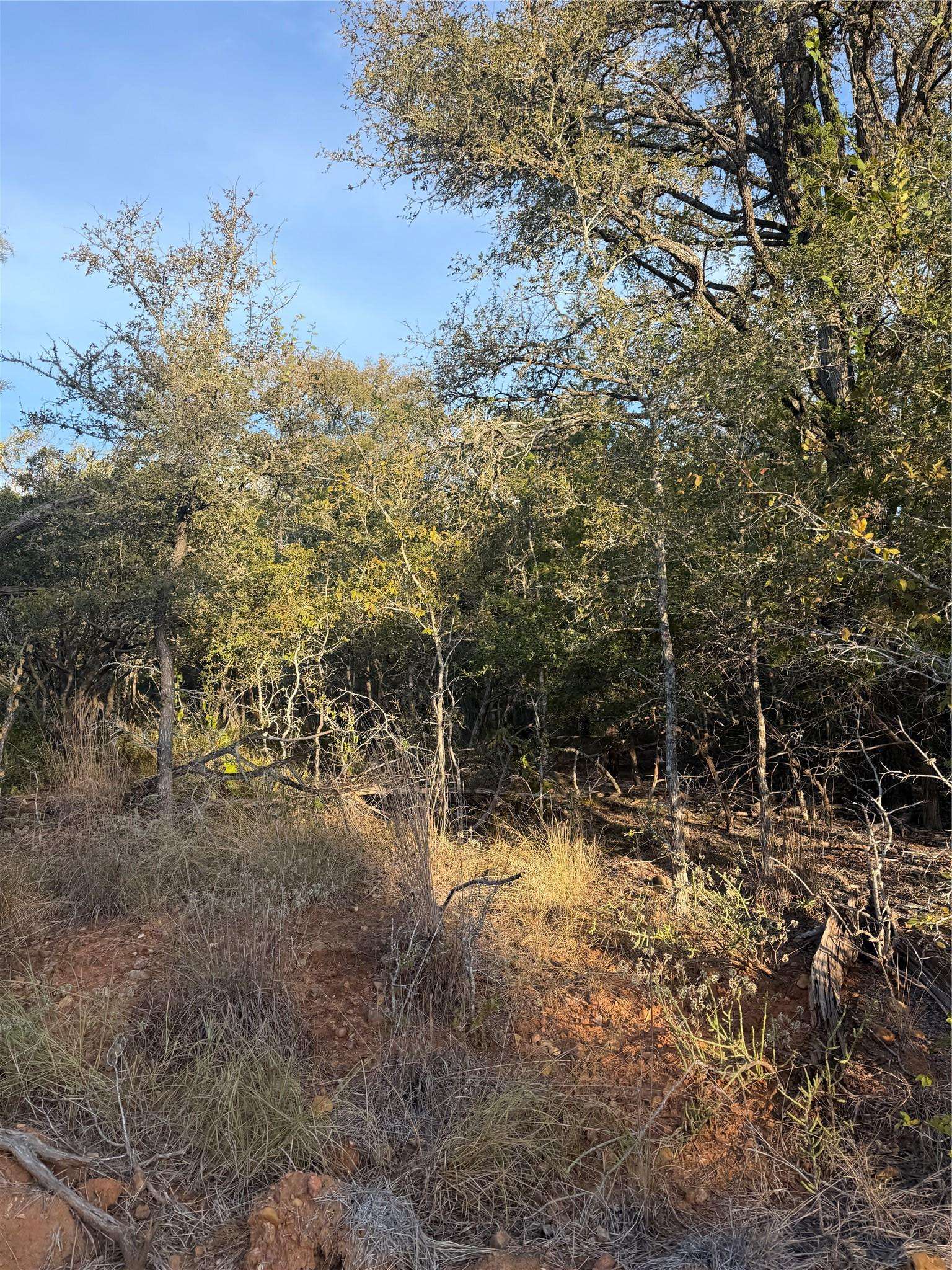 160 Helemano DR, Bastrop, TX 78602