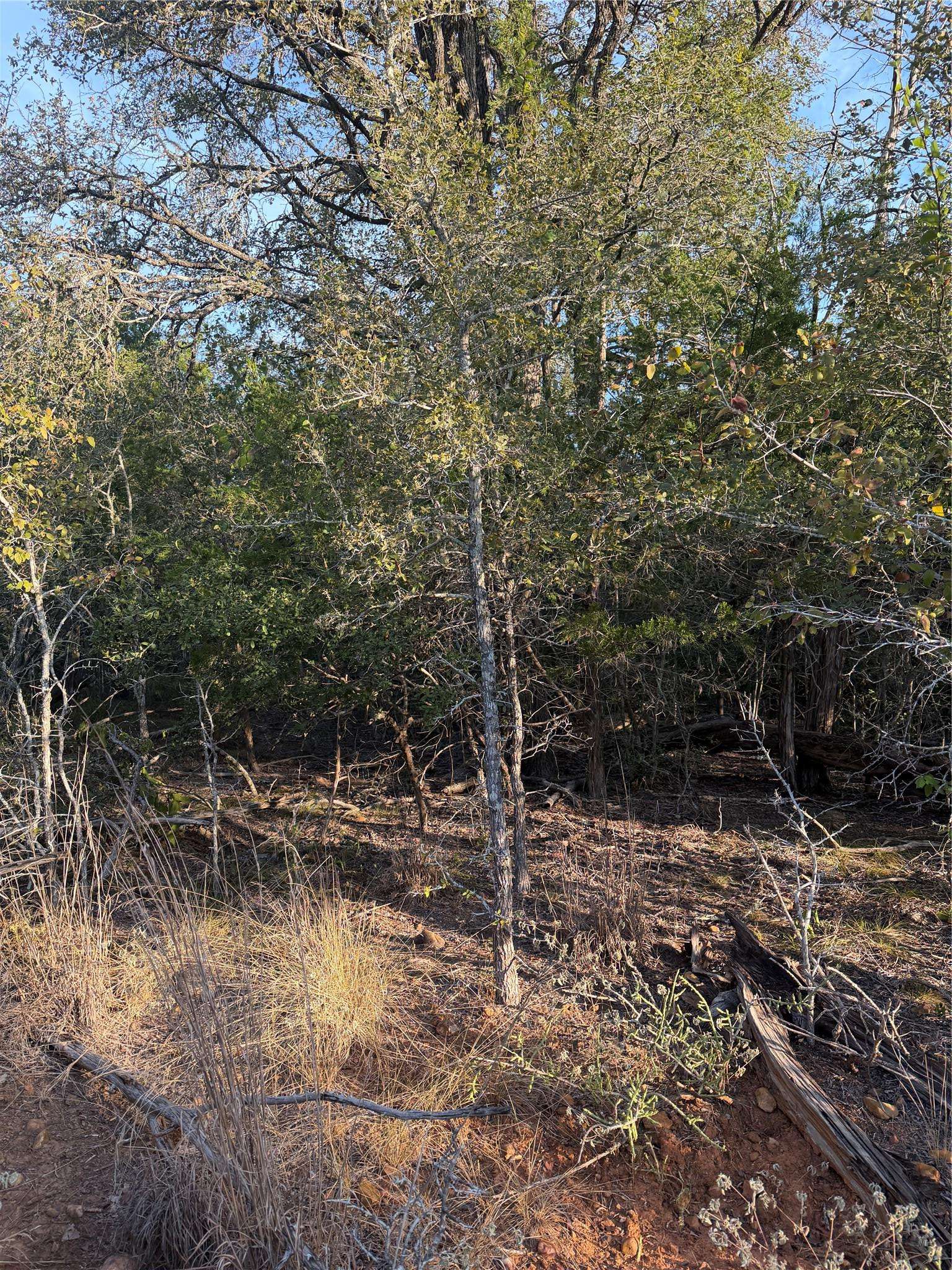 160 Helemano DR, Bastrop, TX 78602