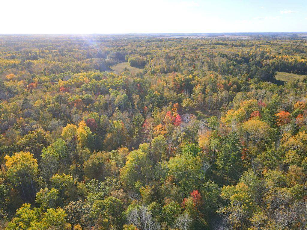 XXX US 71, Park Rapids, MN 56470