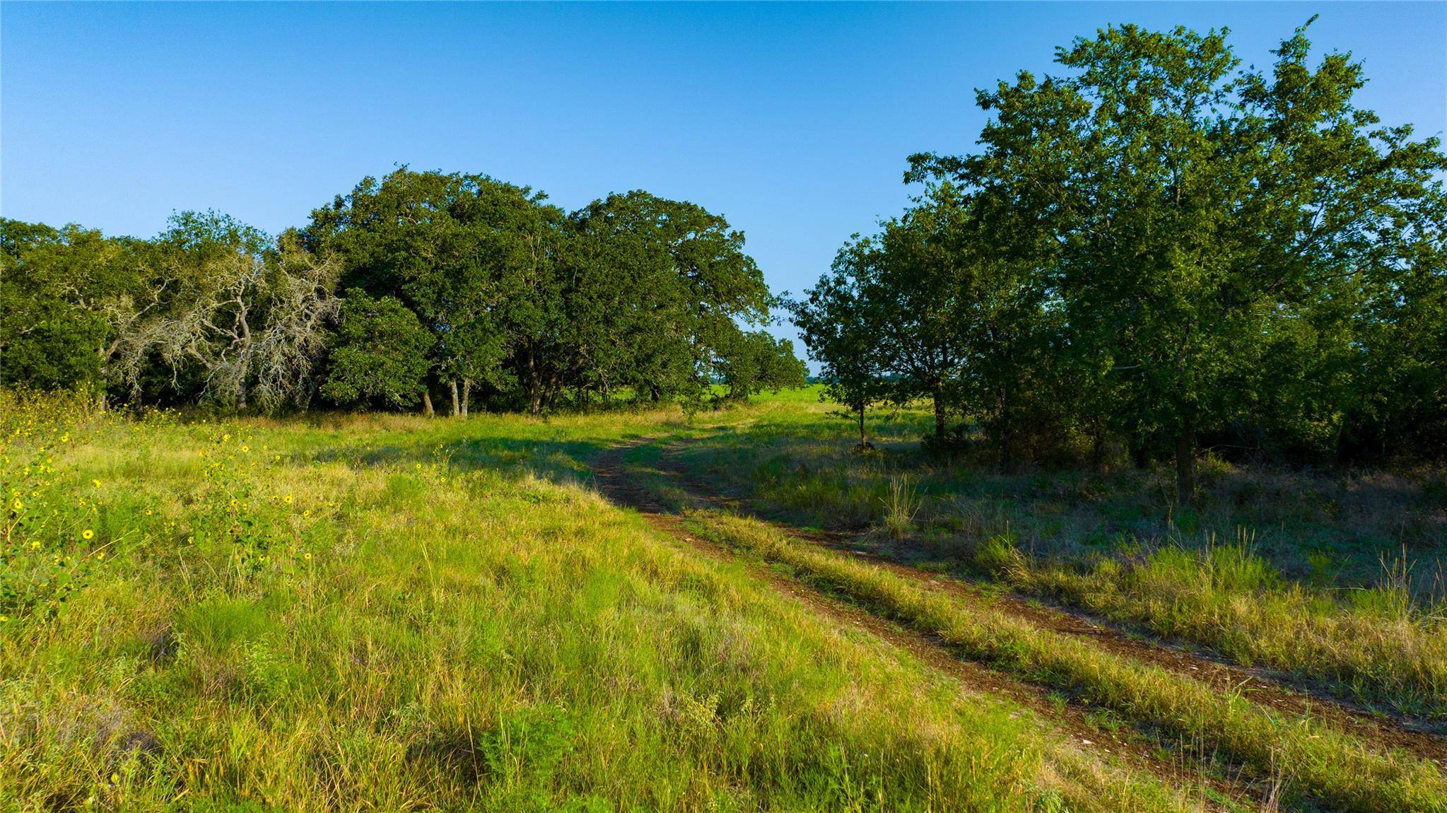TBD County Road 243, Florence, TX 76527
