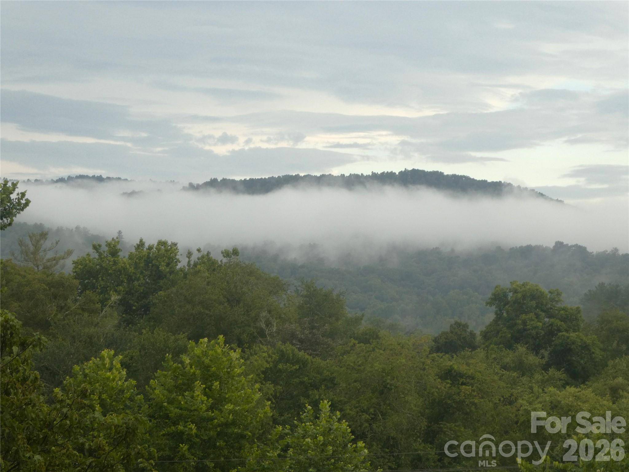 2008 Deep Woods DR, Hendersonville, NC 28739