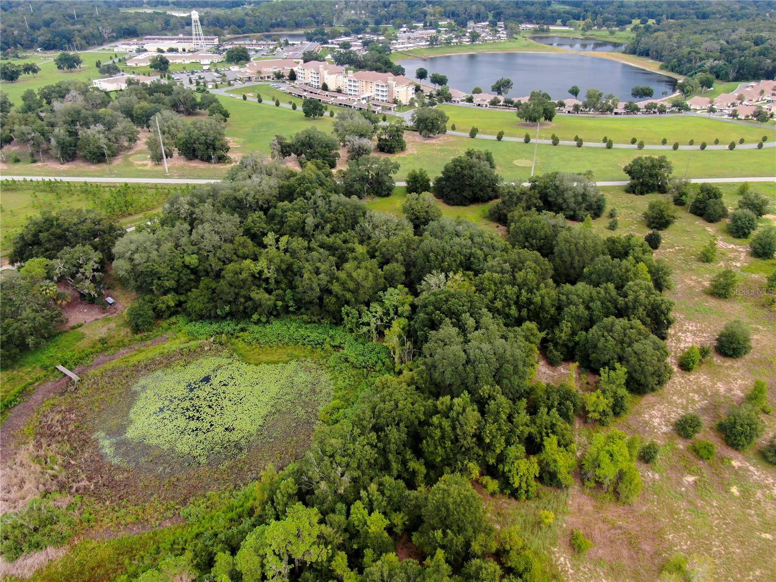 TBD LOT 7 KEENE RD, Altoona, FL 32702