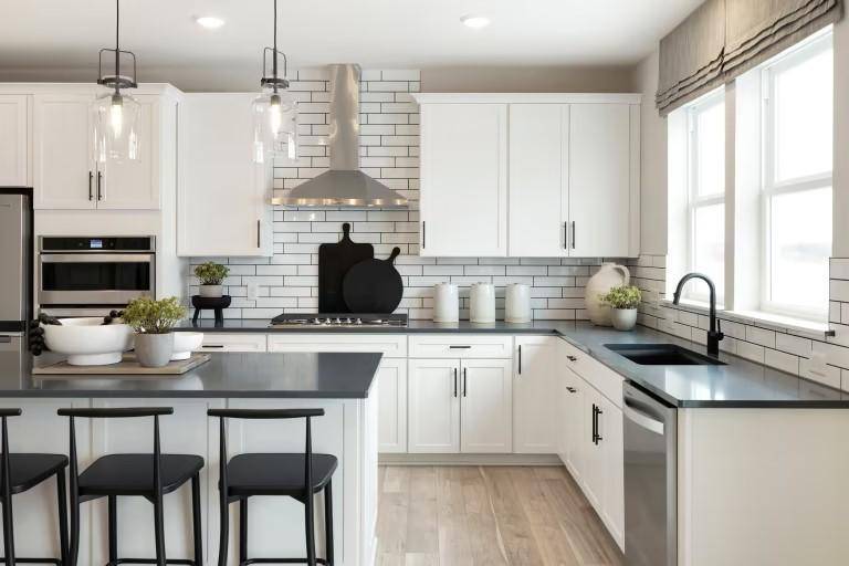 15136 Amber Fields BLVD, Rosemount, MN 55068