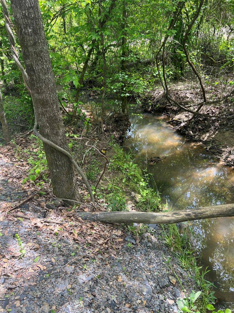 Buffalo RD, Smithville, OK 74957