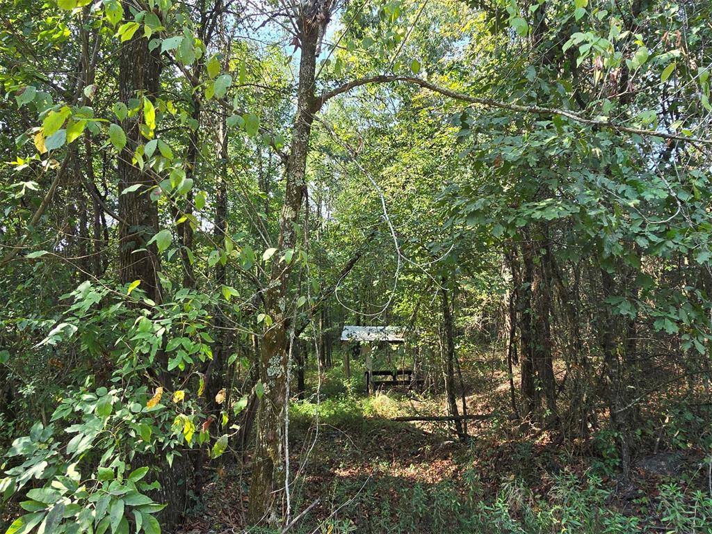 Buffalo RD, Smithville, OK 74957