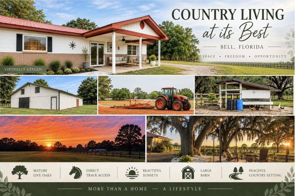 1750 SW 17TH TER, Bell, FL 32619