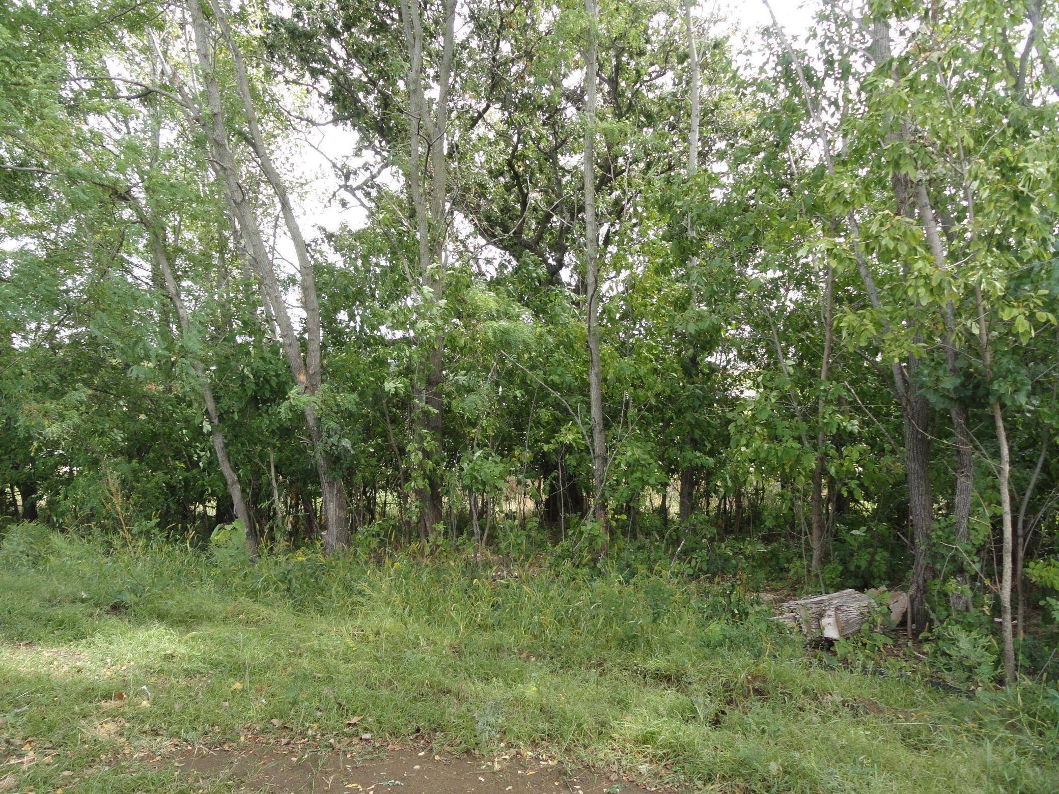1041 Harvest WAY, Lake City, MN 55041