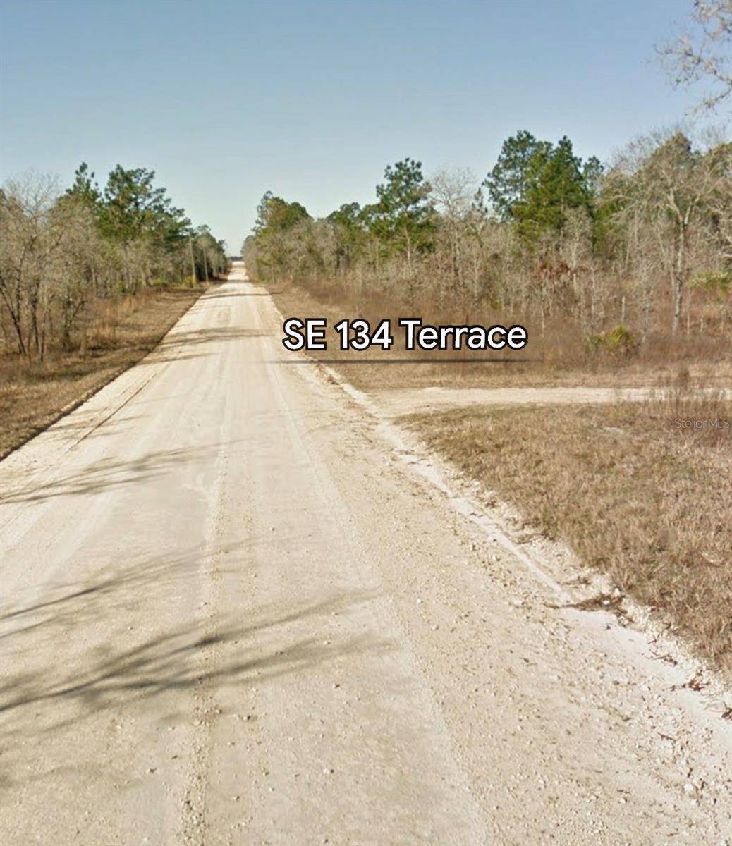 SE 23RD PL, Morriston, FL 32668