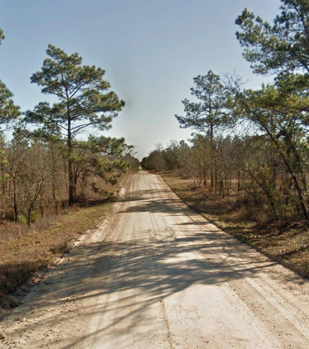 SE 23RD PL, Morriston, FL 32668