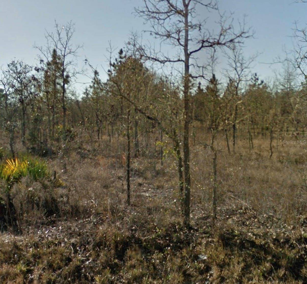 SE 23RD PL, Morriston, FL 32668