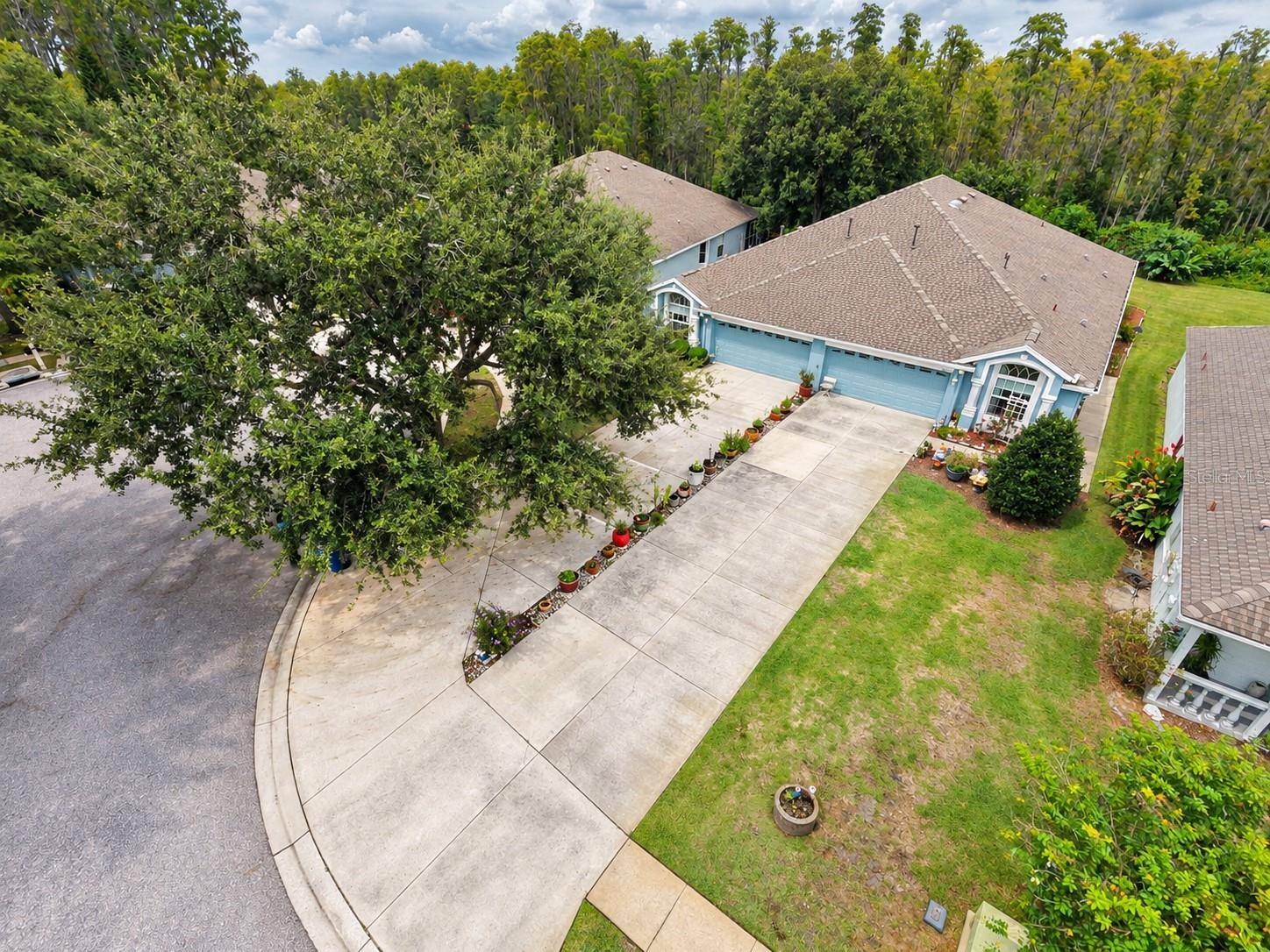 19339 EVERTON PL, Land O Lakes, FL 34638