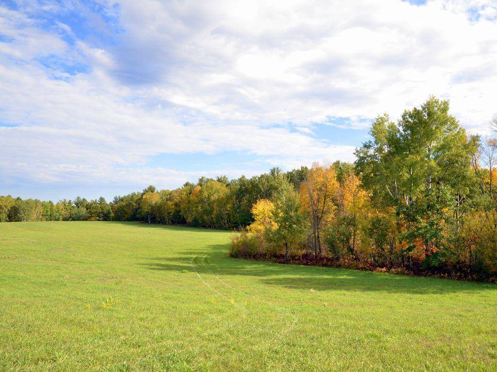 TBD Juneberry DR, Park Rapids, MN 56470