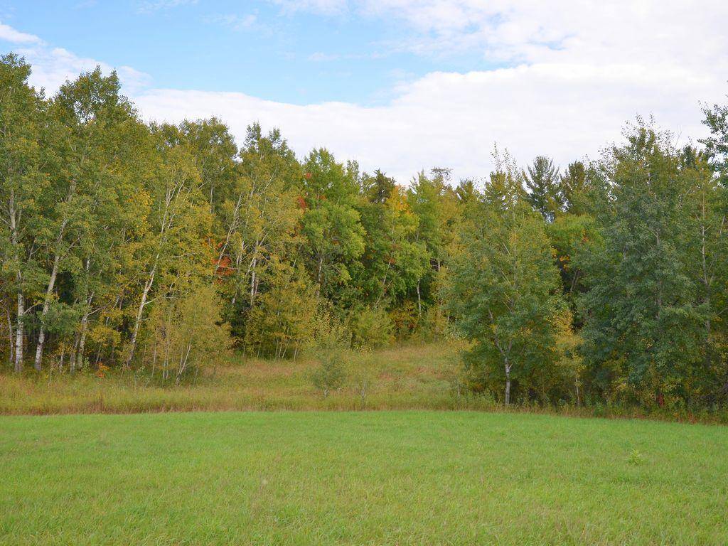 TBD Juneberry DR, Park Rapids, MN 56470