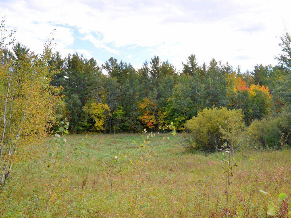 TBD Juneberry DR, Park Rapids, MN 56470