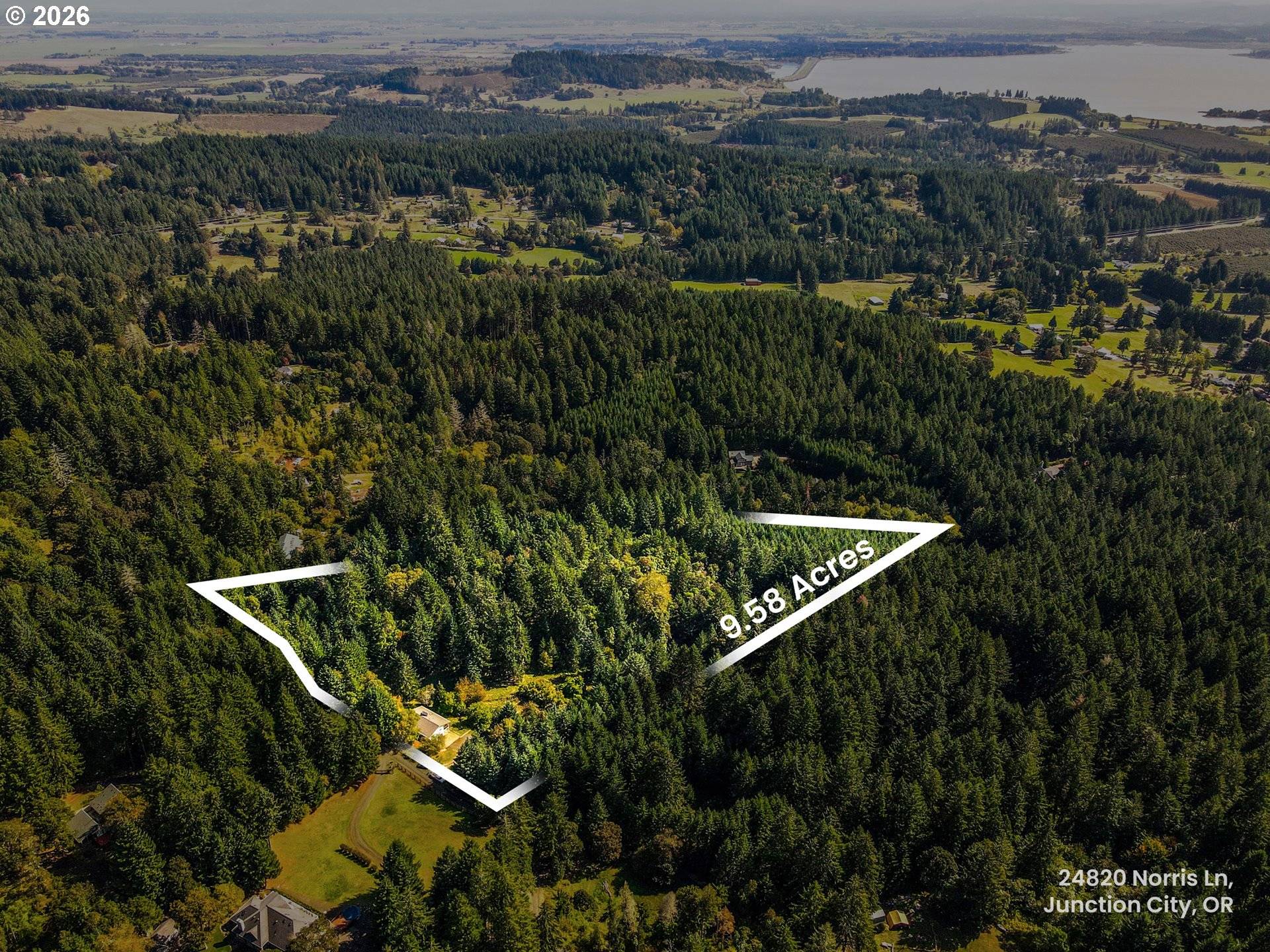 24820 NORRIS LN, Junction City, OR 97448