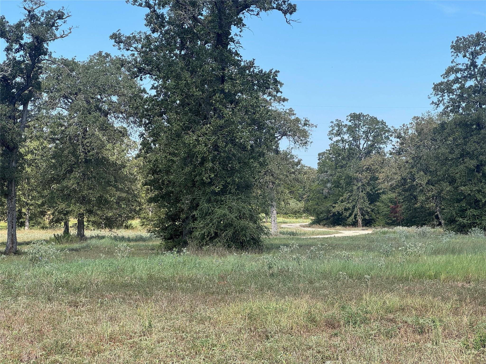 1523 Fm 535, Smithville, TX 78957