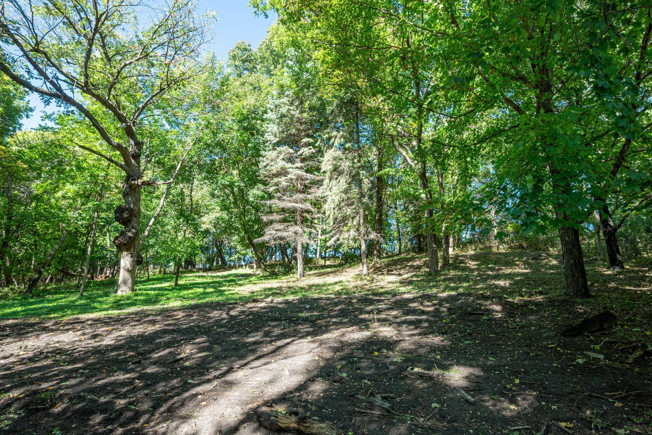 TBD 397th ST, Perham, MN 56573